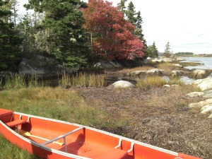 canoe & maple
